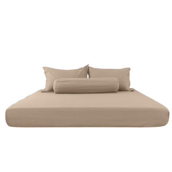 C190705 - Bộ chăn ga gối cotton nhung CLASSIC C190705 nâu cà phê Golden